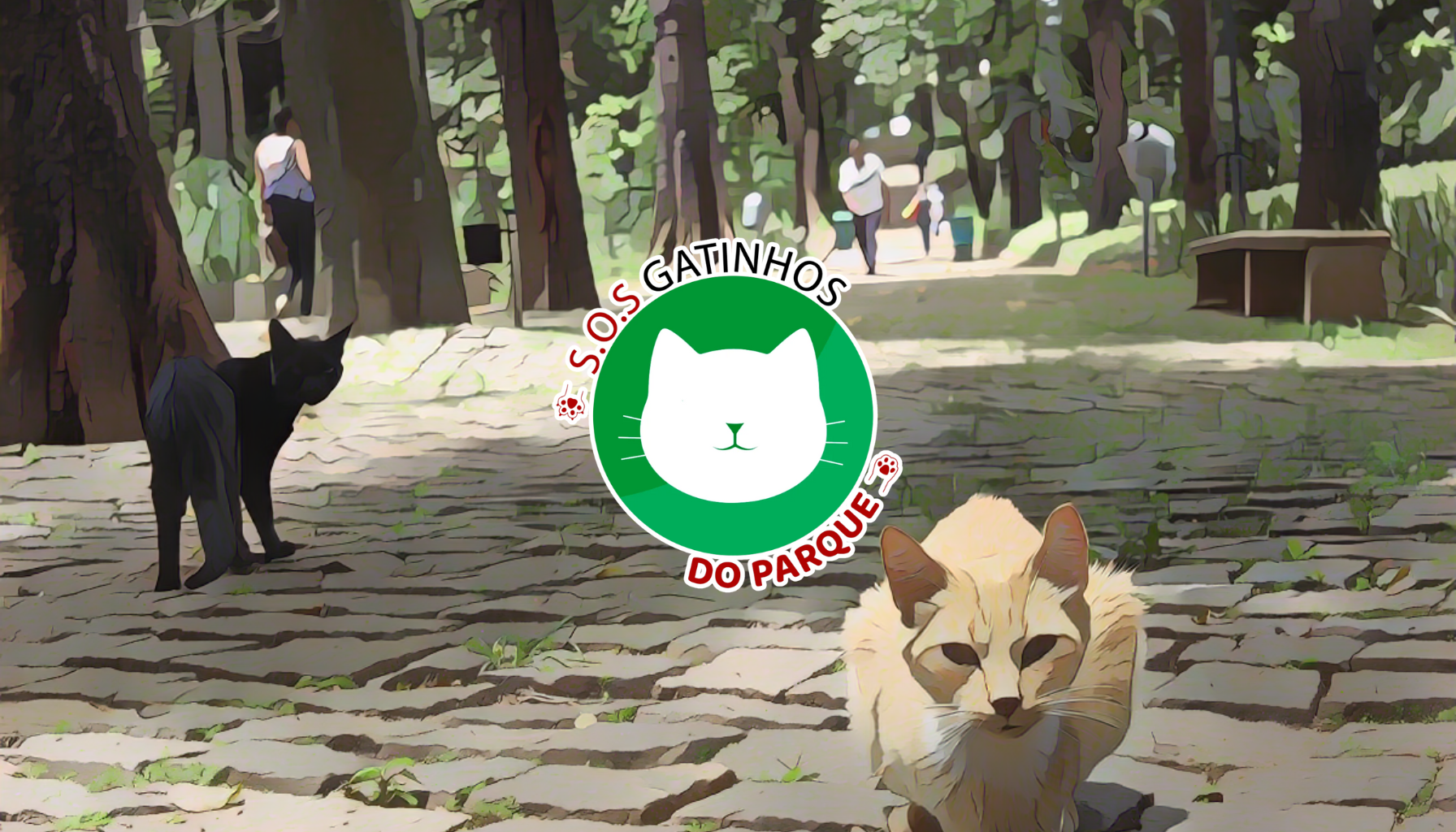 Amigo Secreto Solidário: Sorteador e &#8220;SOS Gatinhos do Parque&#8221; se Unem em Prol dos Felinos